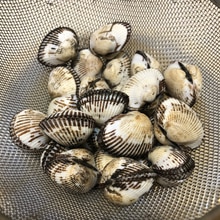 赤貝の白ワイン蒸し レシピ 作り方 By はらださの 楽天レシピ 赤貝の白ワイン蒸し レシピ 作り方 By はらださの 楽天レシピ