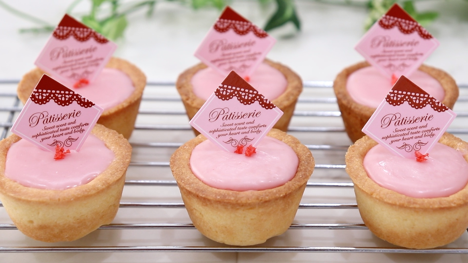 バレンタインにプチストロベリーの生チョコタルト レシピ 作り方 By たけ民キッチン 楽天レシピ バレンタインにプチストロベリーの生チョコタルト レシピ 作り方 By たけ民キッチン 楽天レシピ