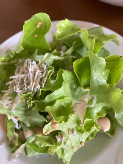 レタスとじゃこのゴマドレ和え