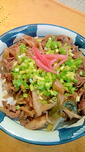 野菜たっぷり！うちの牛丼