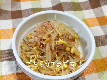 こんばんは彡休日は風が強かったけど良い天気で◎久し振りに豆もやし買ってきたよん♪和洋中〜よく考えたね♪ンもッ♡欲張り屋さんなんだから(*¨*)美味しく39ね♡
