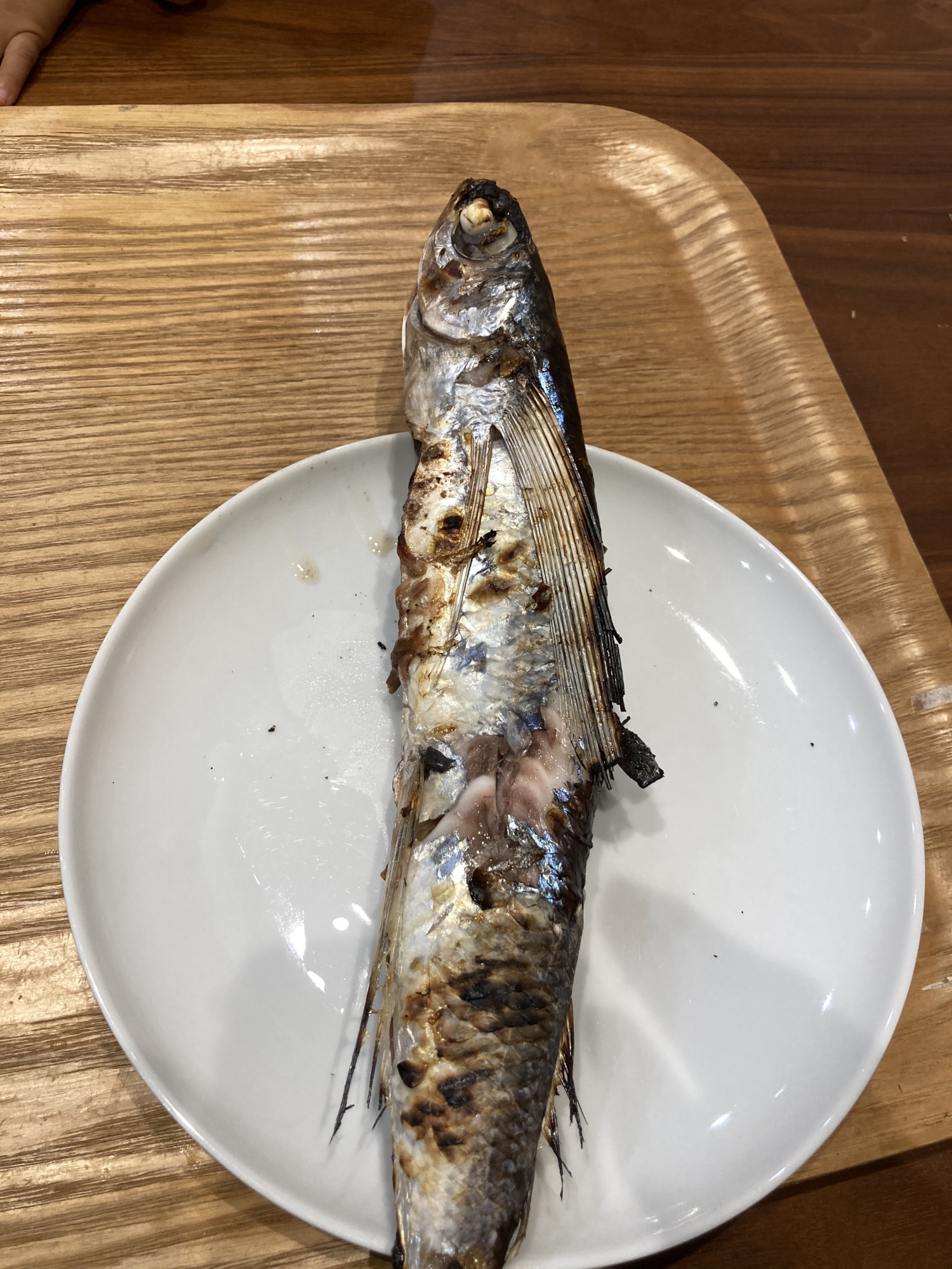とびうおの塩焼き レシピ 作り方 By へんてこへんてこママ 楽天レシピ とびうおの塩焼き レシピ 作り方 By へんてこへんてこママ 楽天レシピ