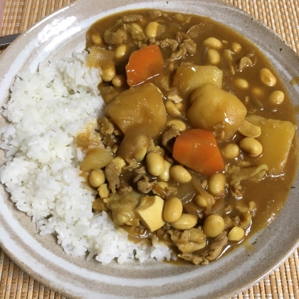 やさいごろごろカレーライス