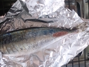 丸あじの塩焼き レシピ 作り方 By Hideok8 楽天レシピ 丸あじの塩焼き レシピ 作り方 By Hideok8 楽天レシピ