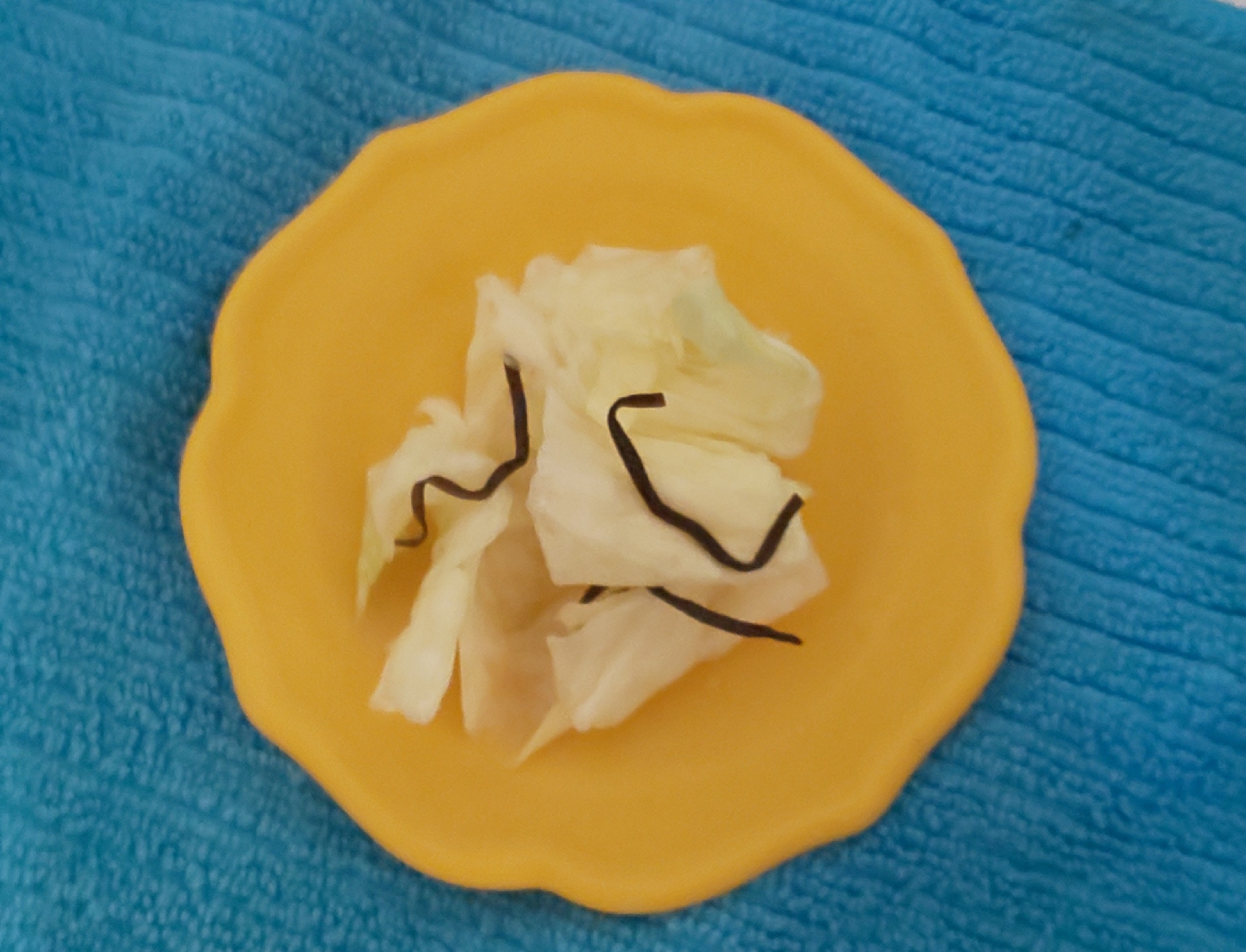 キャベツの塩昆布漬け