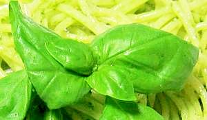 冷凍保存ok ジェノベーゼソース レシピ 作り方 By Sakura Sky 楽天レシピ 冷凍保存ok ジェノベーゼソース レシピ 作り方 By Sakura Sky 楽天レシピ