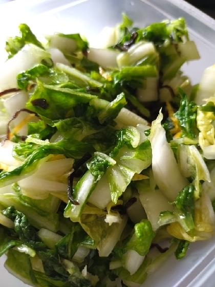 白菜の塩昆布和え☆ご飯におつまみに！