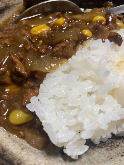 デミグラスソースいり挽肉カレー