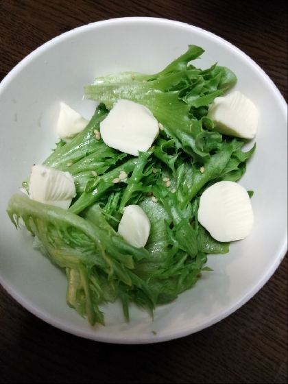レタスとチーズのサラダ