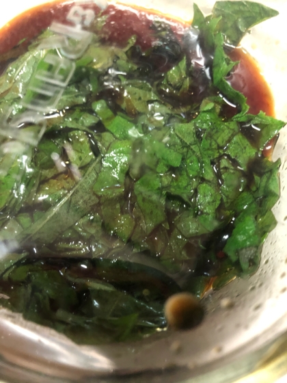 大葉醤油漬け 大葉大量消費にも レシピ 作り方 By Fatima Pt 楽天レシピ