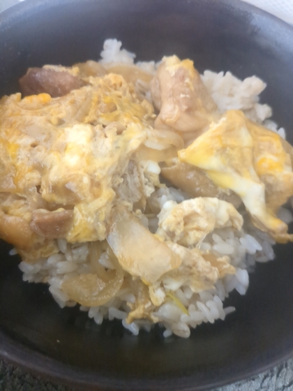 定番の旨とろ親子丼