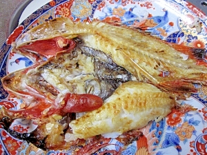 函館の高級魚「きんき」を家庭用グリルで塩焼き