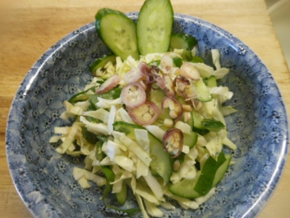 塩なし爽やか！すぐ食べる漬物サラダ♪（ミョウガ他）