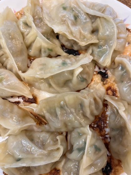 栃木県民が伝授！餃子