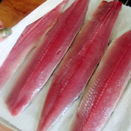 さんまのさばき方 楽天レシピ さんまのさばき方 楽天レシピ