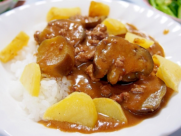 茄子とひき肉のカレー