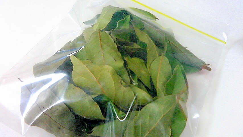 月桂樹の枝レシピ 作り方の人気順 簡単料理の楽天レシピ 月桂樹の枝レシピ 作り方の人気順 簡単料理の楽天レシピ