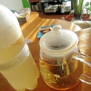 南国デンブシロップマンゴー紅茶