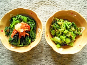 からし菜 しょうゆ漬け&おひたし