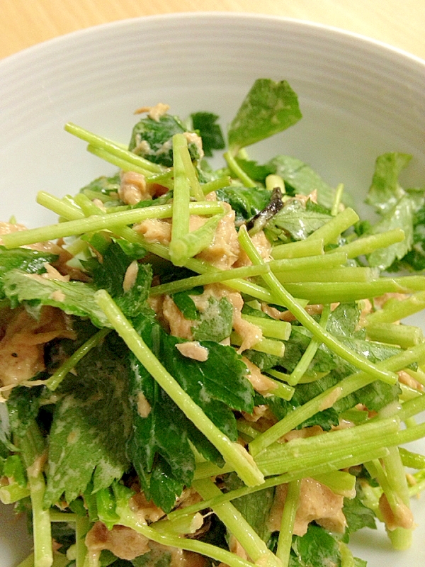 三つ葉とツナのサラダ 冷酒に合います レシピ 作り方 By お0り0べ 楽天レシピ 三つ葉とツナのサラダ 冷酒に合います レシピ 作り方 By お0り0べ 楽天レシピ