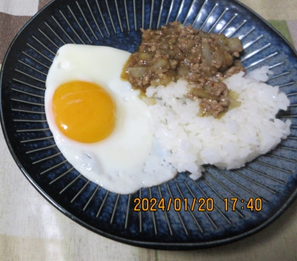 簡単！ガパオ風ライス　(甘辛そぼろ丼)