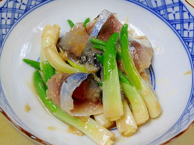 「庄内あさつきとシメサバ酢味噌和え」