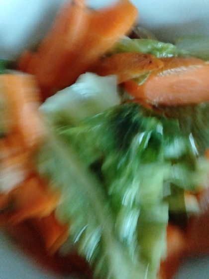 優しい味★鶏肉と人参とキャベツの煮物★