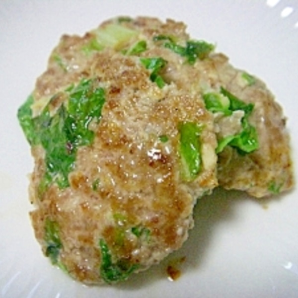 愛犬用ごはん 豚ミンチと豆腐のハンバーグ レシピ 作り方 By ぷ みぃまま 楽天レシピ 愛犬用ごはん 豚ミンチと豆腐のハンバーグ レシピ 作り方 By ぷ みぃまま 楽天レシピ