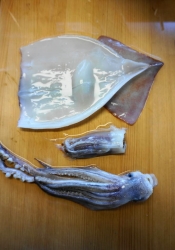 ハサミ使用で意外に簡単 イカのさばき方 レシピ 作り方 By Oppeke22 楽天レシピ ハサミ使用で意外に簡単 イカのさばき方 レシピ 作り方 By Oppeke22 楽天レシピ