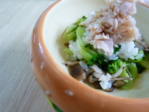 犬用 ツナのっけご飯 レシピ 作り方 By Jp S ビートル 楽天レシピ 犬用 ツナのっけご飯 レシピ 作り方 By Jp S ビートル 楽天レシピ