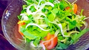 ルッコラと水菜のサラダ