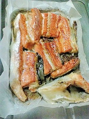 鮭のハラミもアラも脂でギトギト魚も美味しく焼ける♪