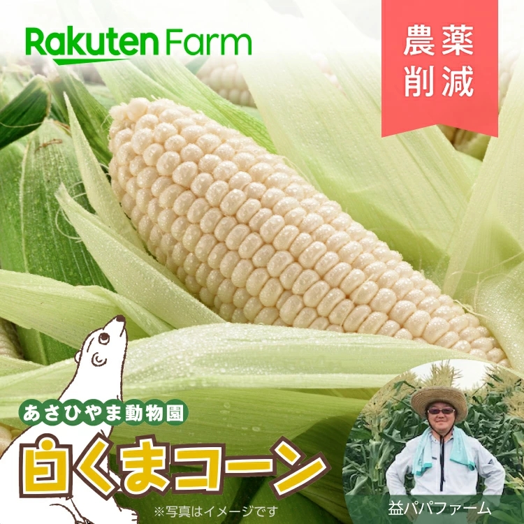 北海道産 白くまコーン 10本【農薬削減】糖度17度以上