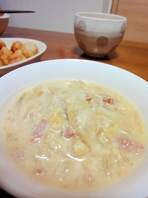 白菜と玉葱のポテトポタージュ