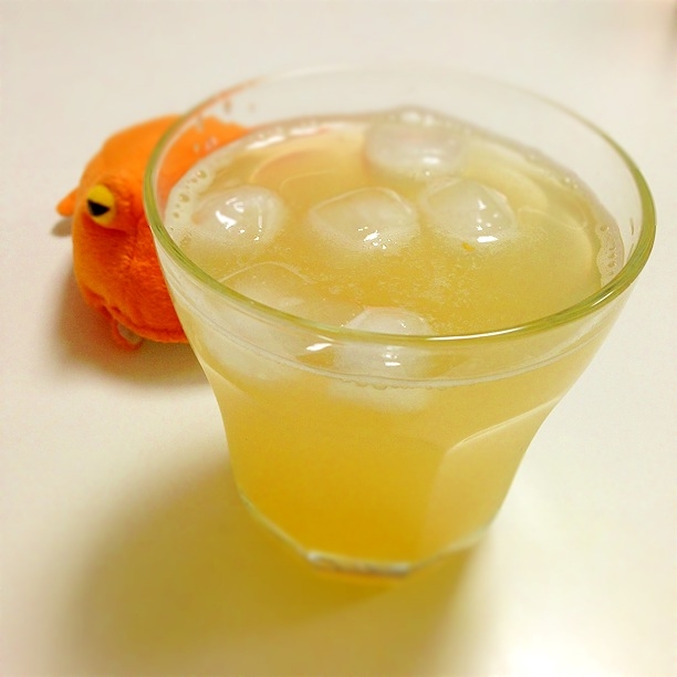 簡単手作り 冷たいのにあったまるジンジャーエール レシピ 作り方 By 17mm 楽天レシピ 簡単手作り 冷たいのにあったまるジンジャーエール レシピ 作り方 By 17mm 楽天レシピ