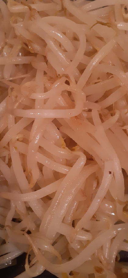 おかずになるもやし