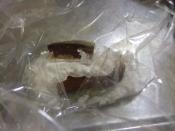 ごまさばの竜田揚げ レシピ 作り方 By Boburis 楽天レシピ ごまさばの竜田揚げ レシピ 作り方 By Boburis 楽天レシピ