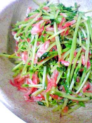 ささっと簡単♪豆苗と桜海老のシャキシャキ炒め