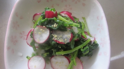 昆布茶で旨味 ラディッシュの浅漬け レシピ 作り方 By Startrek 楽天レシピ 昆布茶で旨味 ラディッシュの浅漬け レシピ 作り方 By Startrek 楽天レシピ