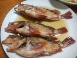 【主菜】春告魚メバルの煮付け
