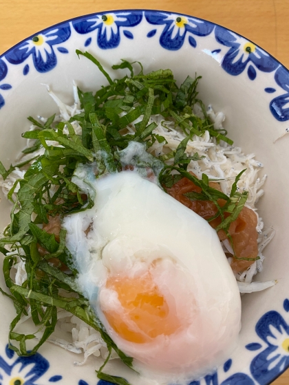 ごま油香る釜揚げしらす丼