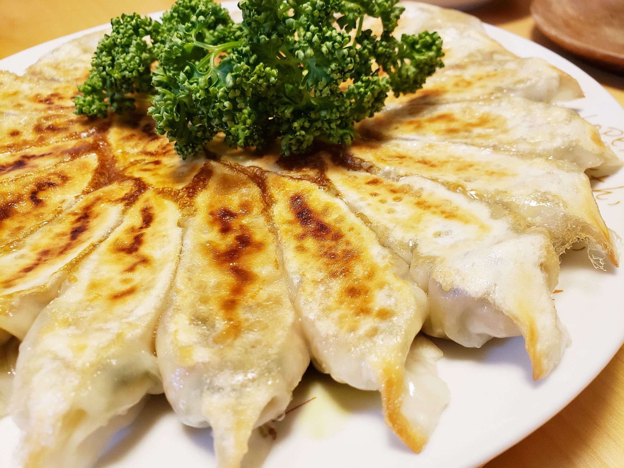 野菜と大豆の餃子