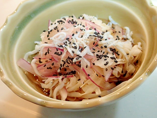 麺つゆで　紫玉ねぎと釜揚げしらすの糖質0麺