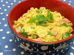 簡単ネギハム玉子丼