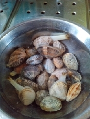 ワンランクアップアサリの味噌汁 ふっくら大きい身 レシピ 作り方 By クーピたん 楽天レシピ ワンランクアップアサリの味噌汁 ふっくら大きい身 レシピ 作り方 By クーピたん 楽天レシピ