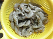 ひげも頭も丸ごと食べられるカリカリえび レシピ 作り方 By Momo 楽天レシピ ひげも頭も丸ごと食べられるカリカリえび レシピ 作り方 By Momo 楽天レシピ