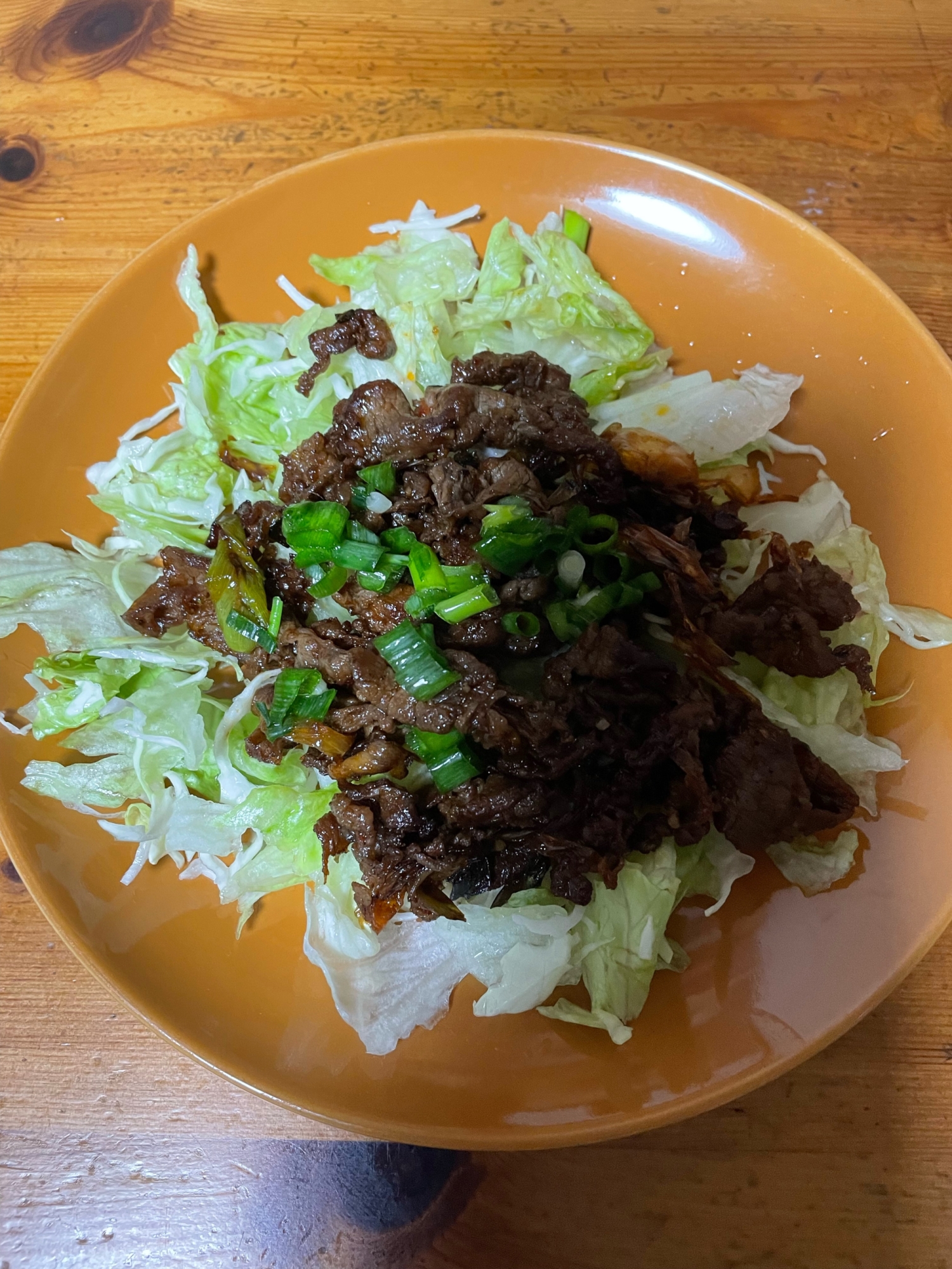 牛肉とネギのピリ辛野菜のせ