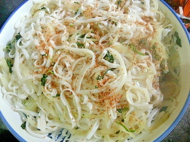 アカソと玉ねぎの皿うどん